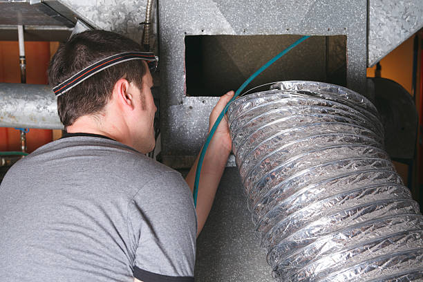Air Duct Mold Removal in Frisco City, AL