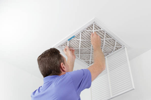 Best Home Air Vent Cleaning  in Frisco City, AL